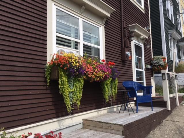 The Narrows B&B St. John's Exterior foto