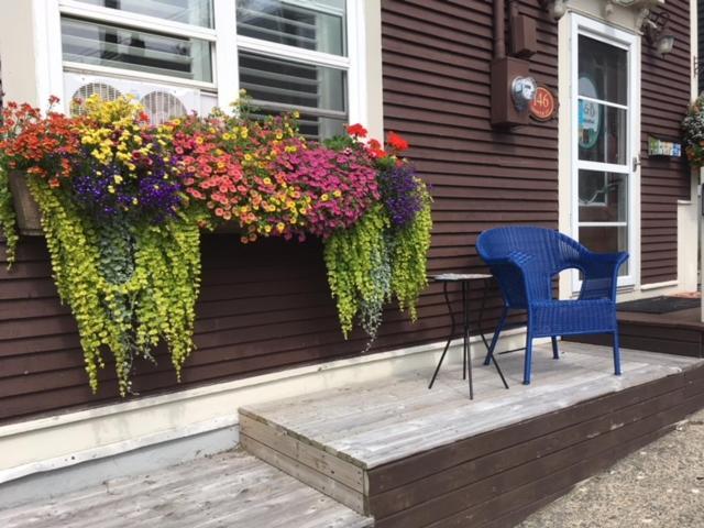 The Narrows B&B St. John's Exterior foto