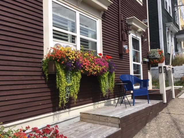 The Narrows B&B St. John's Exterior foto